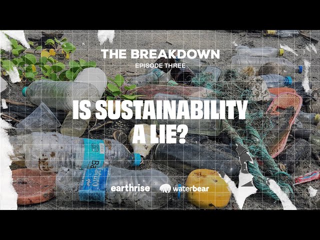 Is Sustainability a Lie?