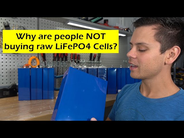 Why are people NOT buying raw LiFePO4 cells?