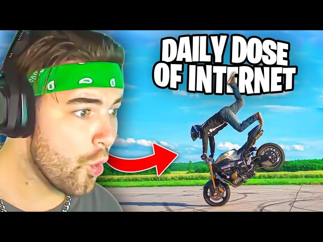 KingWoolz Reacts to DAILY DOSE OF INTERNET Wild Clips!!