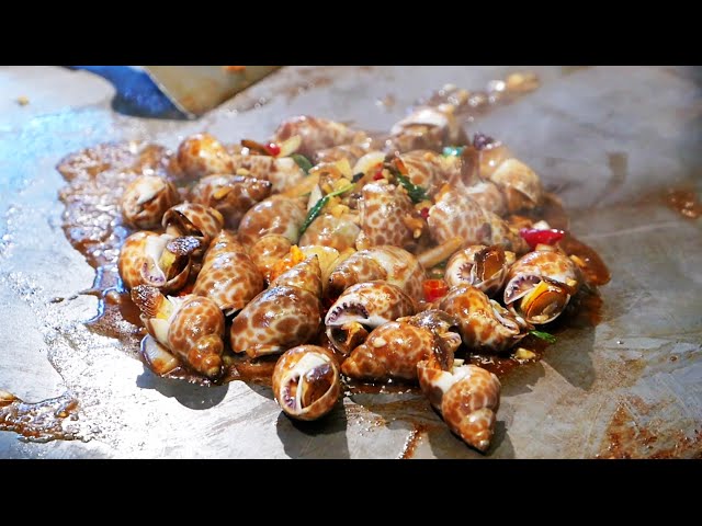 Taiwan Street Food - Sea Snails Seafood  海蝸牛 / 海のカタツムリ / 바다 달팽이