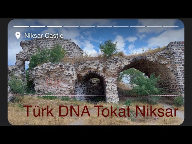 Türk DNA Tokat Niksar Haplogroup I2 Y-DNA