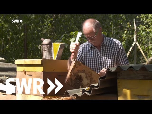 Der Königinnen-Züchter - Leo Famulla und seine sanften Bienen | SWR Mensch Leute