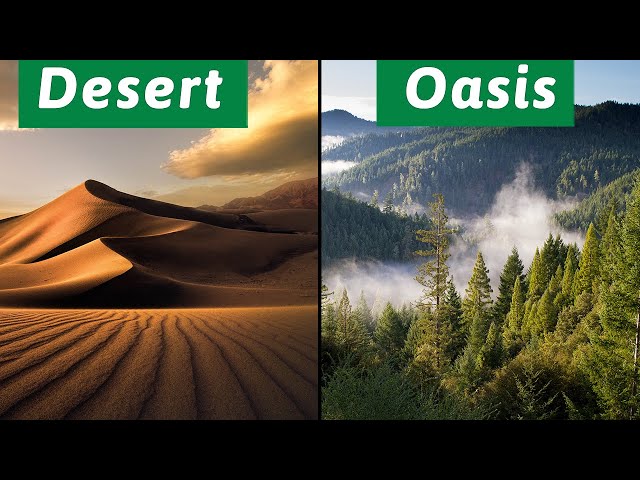 China's disappearing desert, 90% covered in green, How China make it?