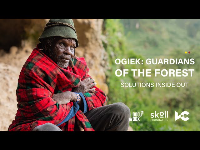 How Do We Live In Harmony with the Land? Watch the Ogiek | #SolutionsInsideOut | Tenure Facility