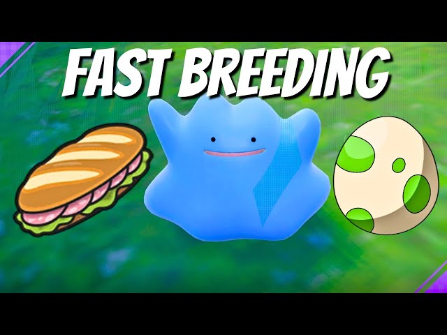 Fastest Guide - How to Breed Pokemon Scarlet & Violet
