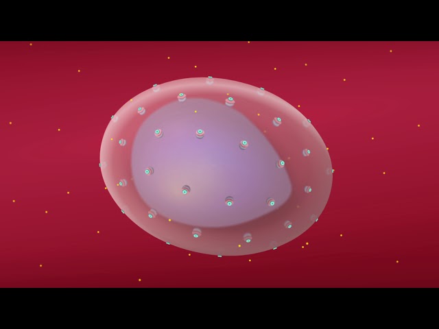 Understanding How Malaria Parasites Take Over Human Red Blood Cells
