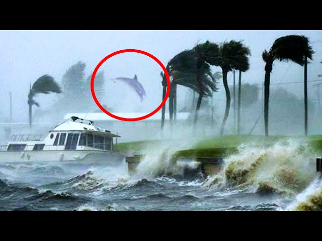 11 Minutes Of SCARY Storm Moments Caught On Camera!