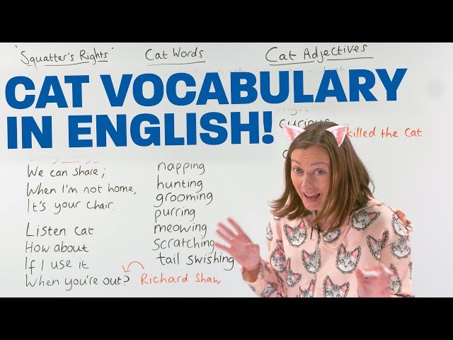 Learn English Vocabulary: CATS! 🐱 🐈