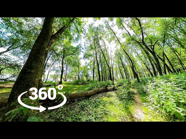 Insta360 ONE RS 1-inch 360 Edition | VR 360 VIDEO TEST FOOTAGE
