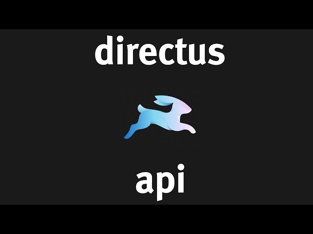 Using the Directus API