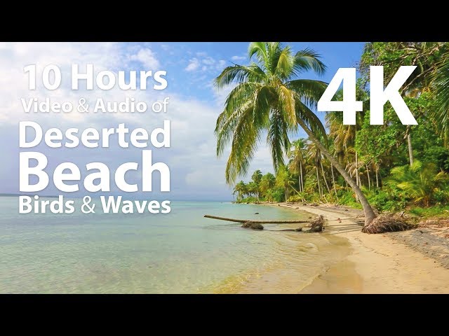 4K UHD 10 hours - Deserted Beach with Gentle Waves and Birds - calming, meditation, nature