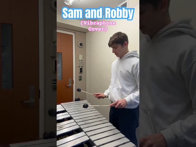 Sam and Robby - Cobra Kai (Vibraphone Cover)