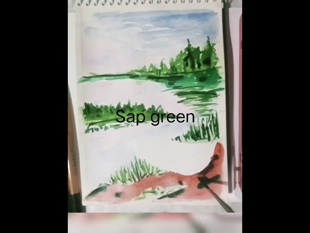 Nature watercolor paint easy beginners #drawing #painting