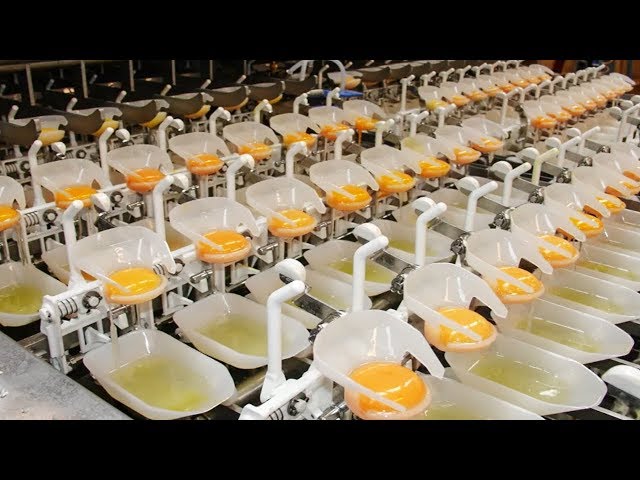 INSANE MANUFACTURING PROCESSES EVERYONE SHOULD SEE
