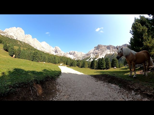 2 Hour Scenic MTB Virtual Cycling Workout Alps Dolomiti 🚵‍♀️🌞 Val Gardena Italy Ultra HD