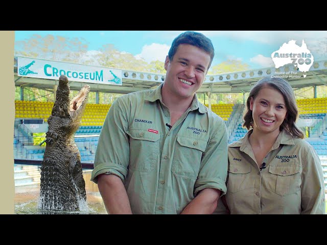 The world famous Crocoseum with Bindi & Chandler | Australia Zoo Life