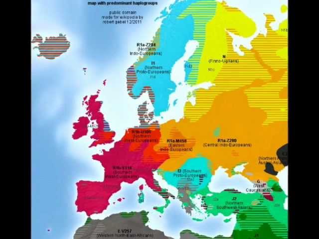 European mtDNA and Y-DNA Haplogroups