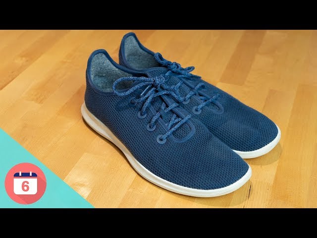 Allbirds Shoes Review - 6 Months Later