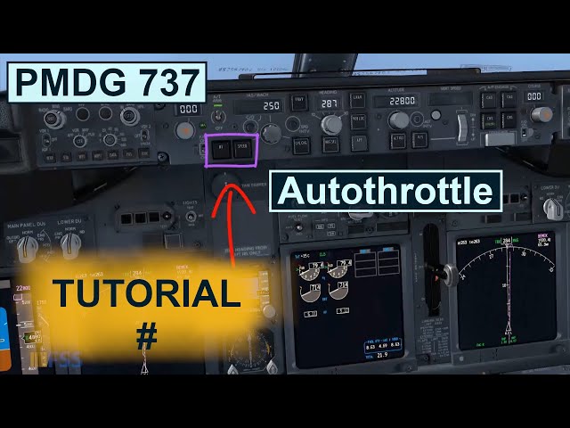 PMDG 737 Autopilot Tutorial Explaining The Basics Of The Autothrottle[1080HD]