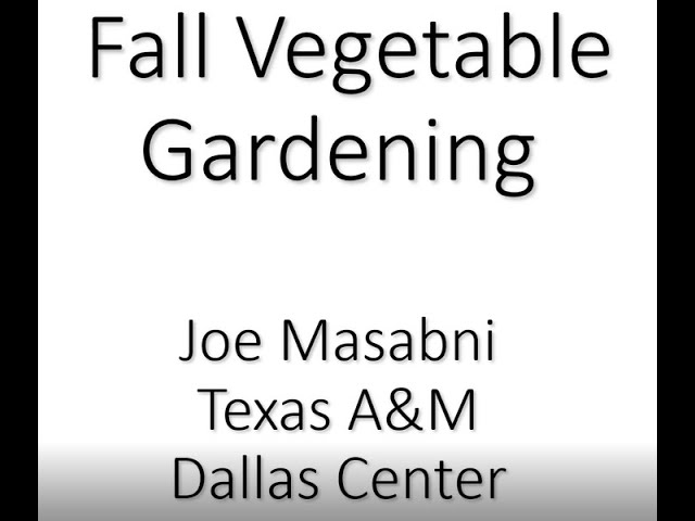 What's Growing On with Raised Bed Fall Gardening