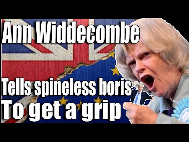Ann Widdecombe hits boris with a major truth bomb