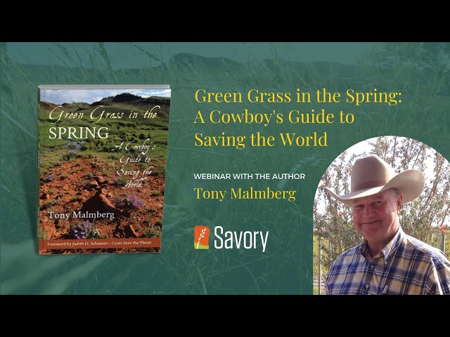 Green Grass in the Spring: A Cowboy's Guide to Saving the World