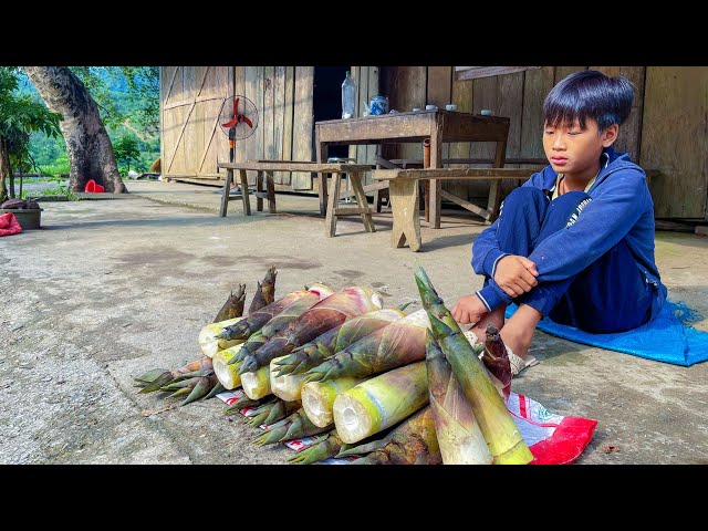 Orphan Boy - Harvesting Bamboo Shoots Going to the Market to Sell on a Rainy Day #orphan #farming