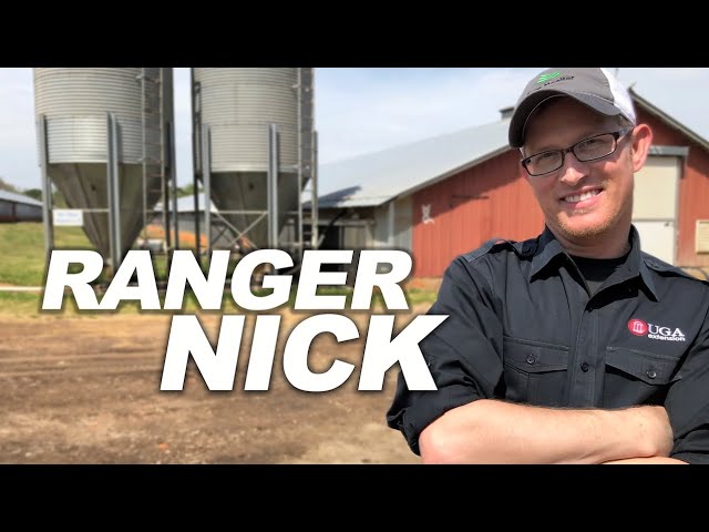 Ranger Nick: Why Are These Chickens Rolling?