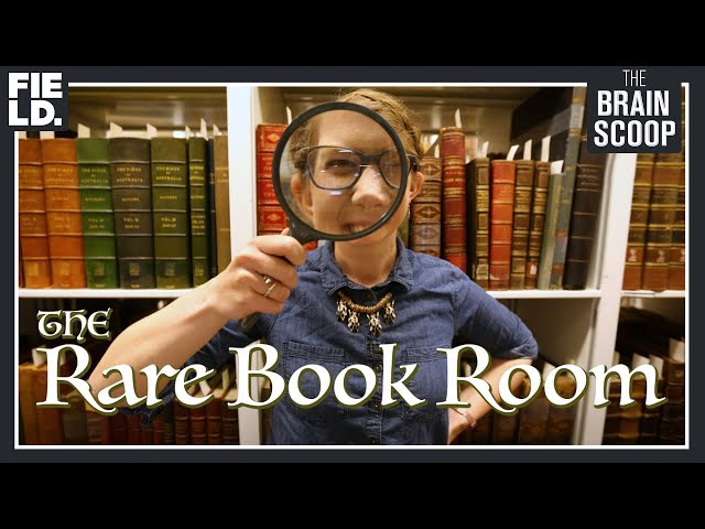 The Rare Book Room!