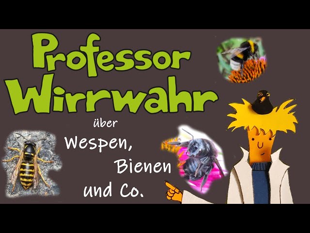 Professor Wirrwahr über Bienen und Wespen, auch Wollschweber, Schwebfliege, Holzbiene; für Kinder