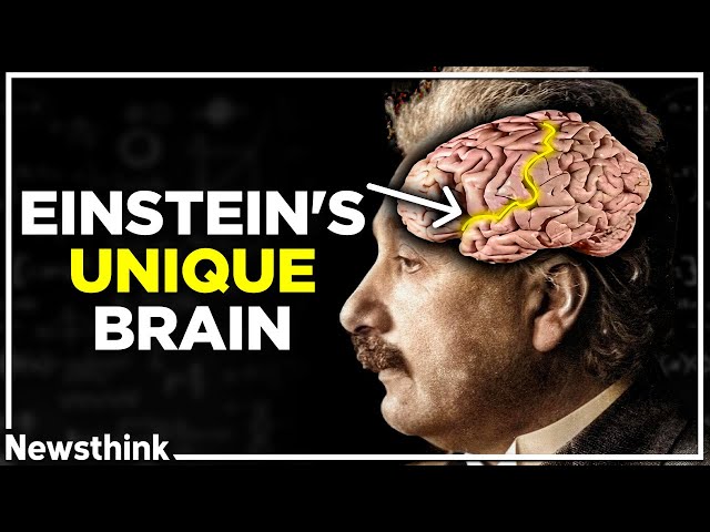 How Einstein’s SMALL Brain Made Him Smarter