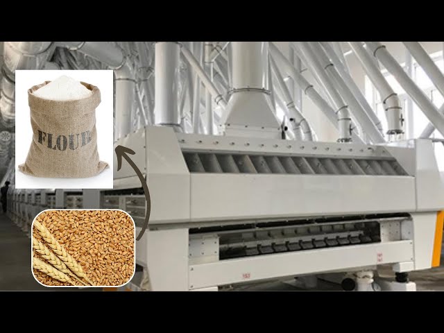 How Flour is Made From Wheat | Flour Mill | Complete Process of Flour Mill