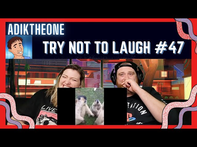 @AdikTheOne "Try not to laugh CHALLENGE 47" | HatGuy & Nikki react