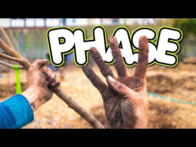How To Start A FOOD FOREST FROM SCRATCH!!! Phase 4