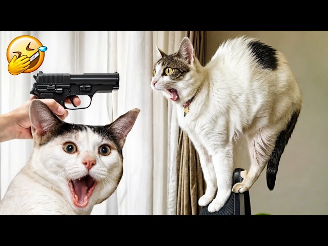 Ultimate Funny Cats and Dogs 😻🐶 Funniest Animals 😆 Part 17