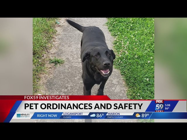 FOX59 Investigates: Pet laws you need to know to keep them safe
