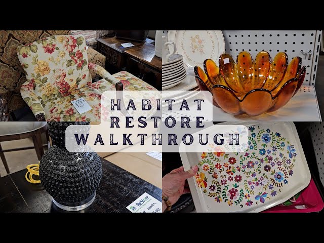 UNBELIEVABLE Midcentury Finds & MORE at this ReStore!!
