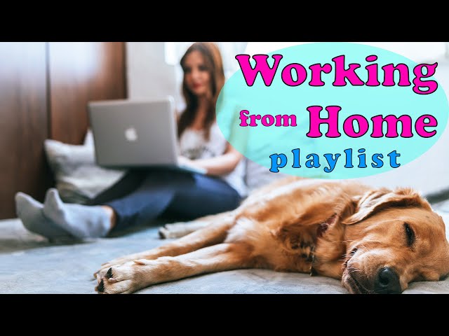 Work From Home Playlist - Piano & Cello Cover Songs (No Vocals) | 2 Hours