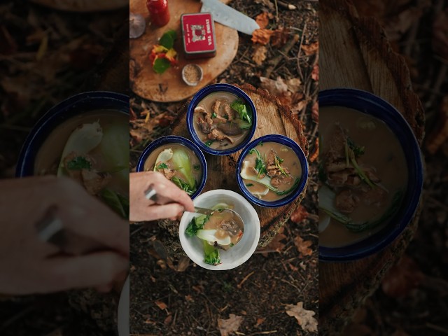 Winter Survival Food, Shroom Forage & Forest Cook 🪵 #foraging #mushrooms #cooking #asmr
