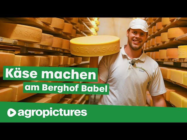 Käse machen am Berghof Babel im Allgäu
