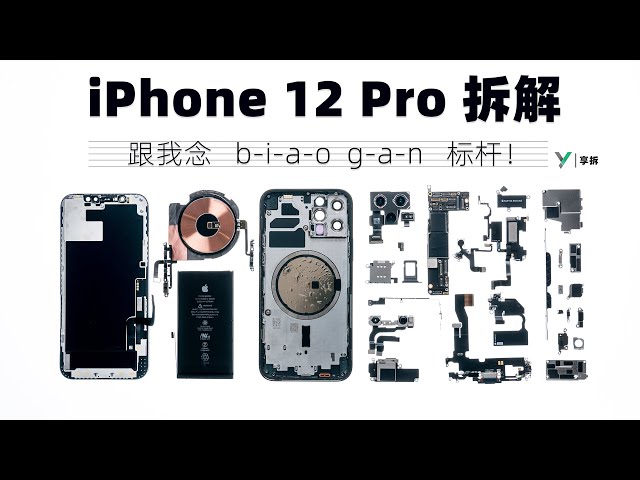iPhone 12 Pro Teardown - XYZONE