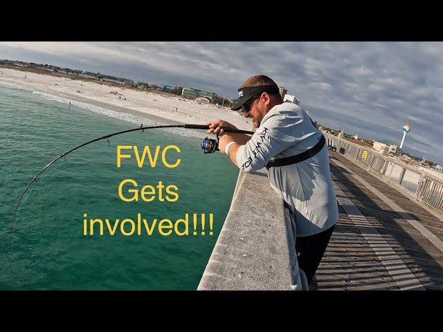 FWC GETS INVOLVED WHILE PIER FISHING PENSACOLA, FLORIDA!!!