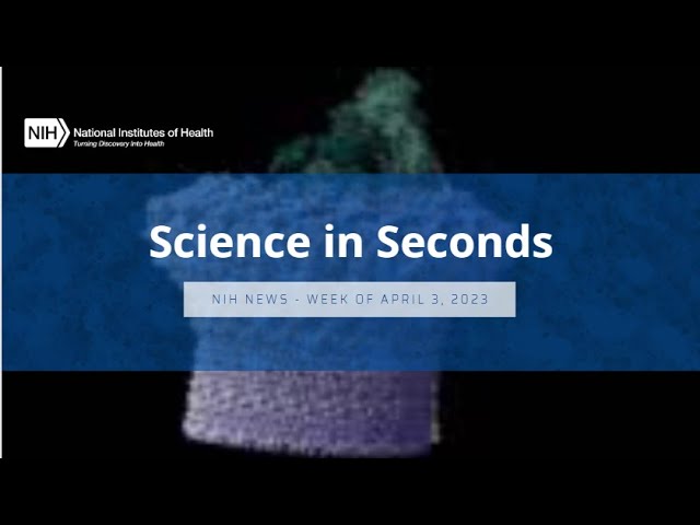 NIH Science in Seconds - Week of April 3, 2023