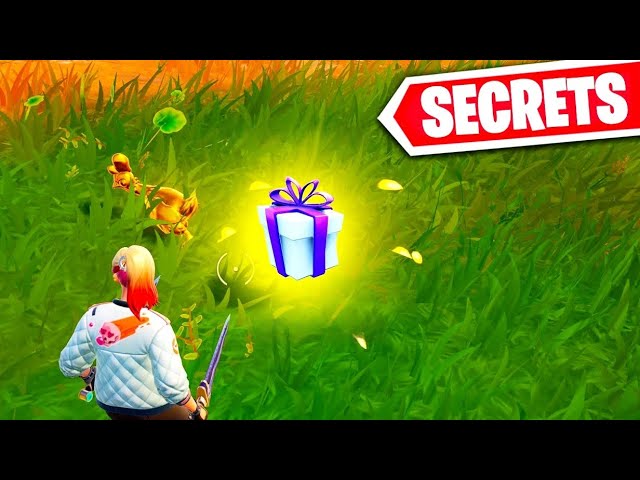 10 SECRETS You didn't know in the NEW UPDATE