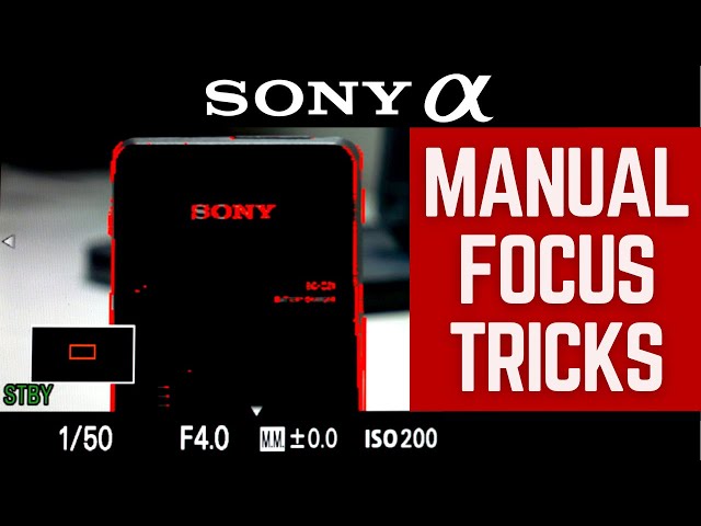 Get SHARP Manual Focus With These 3 Tricks || Sony Alpha (a7S III, a7 IV)