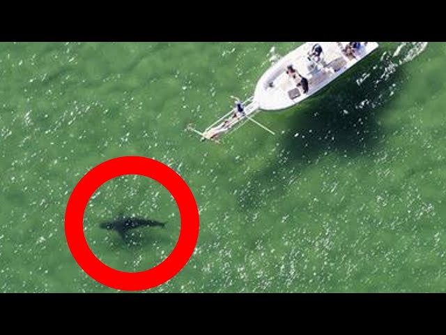 7 Creepiest Things Caught by Drones