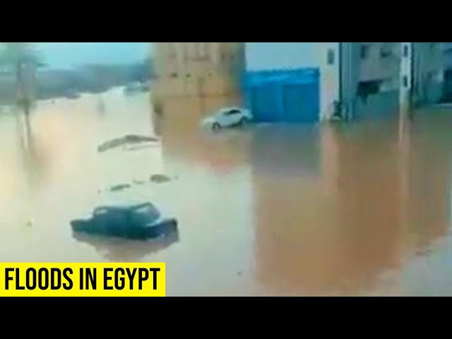 Doomsday in Egypt! Brutal Flood Explosion Submerged Millions Homes.