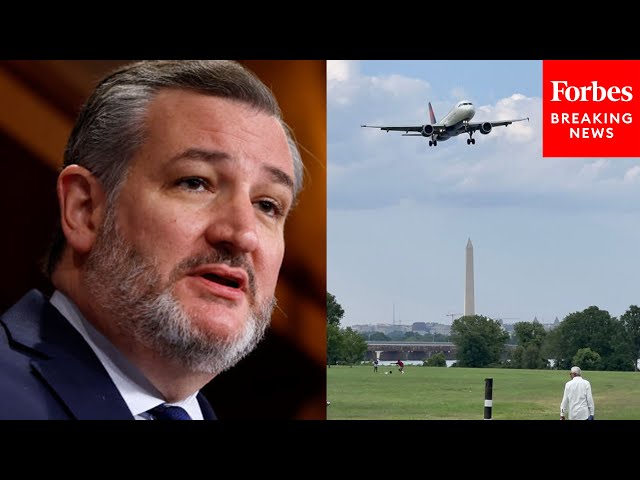 Ted Cruz Slams United Airlines' 'Propaganda' Against Expanding Access to DC's National Airport
