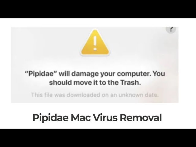 Pipidae Mac Virus Removal Guide [5 Minutes]