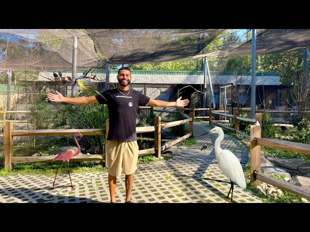BIGGEST BIRD ZOO IN THE USA